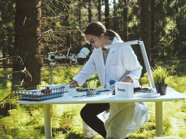 Les innovations écologiques indispensables pour les entreprises : un impératif green